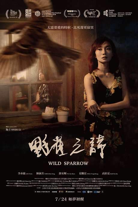 Wild Sparrow